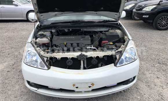 Nunua Ilio tumika Toyota Allion Nyeupe Gari ndani ya Beitbridge nchini Matabeleland Kusini Nunua Ilio tumika Toyota Allion Nyeupe Gari ndani ya Beitbridge nchini Matabeleland Kusini