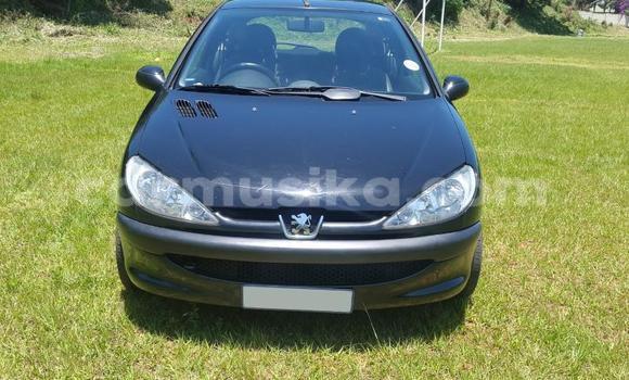Buy Used Peugeot 206 Other Car in Bulawayo in Bulawayo