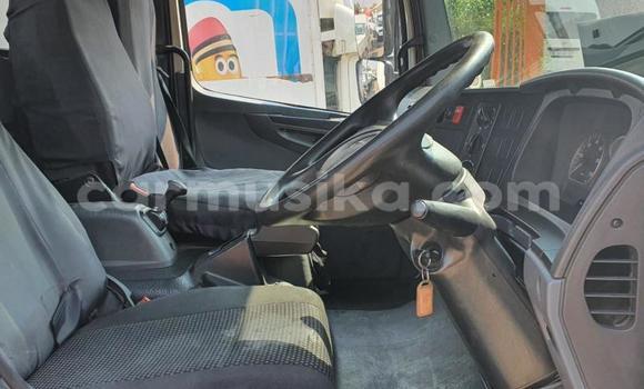 Acheter Occasion Utilitaire Mercedes‒Benz 1317 Blanc à Borrowdale, Harare Acheter Occasion Utilitaire Mercedes‒Benz 1317 Blanc à Borrowdale, Harare