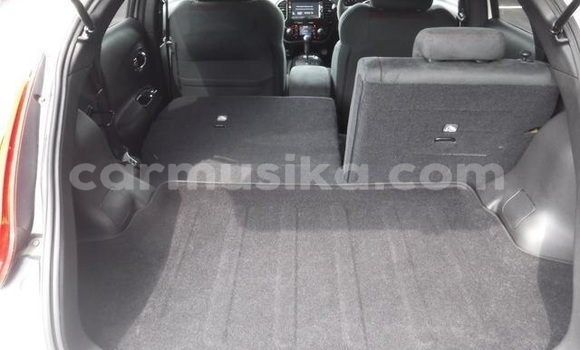 Tenga Tsaru Nissan Juke Chena Mota in Beitbridge in Matabeleland South Tenga Tsaru Nissan Juke Chena Mota in Beitbridge in Matabeleland South