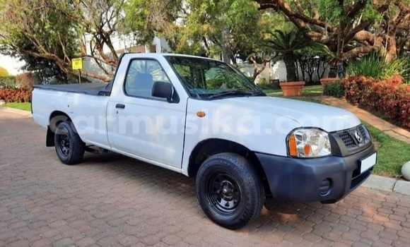 Nunua Ilio tumika Nissan NP 300 Nyeupe Gari ndani ya Beitbridge nchini Matabeleland Kusini