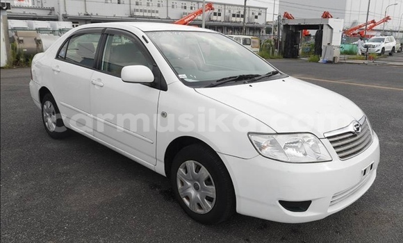 Buy Used Toyota Corolla White Car in Beitbridge in Matabeleland South