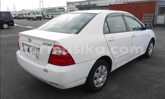 Acheter Occasion Voiture Toyota Corolla Blanc à Beitbridge, Matabeleland South Acheter Occasion Voiture Toyota Corolla Blanc à Beitbridge, Matabeleland South