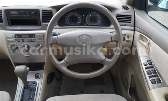 Acheter Occasion Voiture Toyota Corolla Blanc à Beitbridge, Matabeleland South Acheter Occasion Voiture Toyota Corolla Blanc à Beitbridge, Matabeleland South