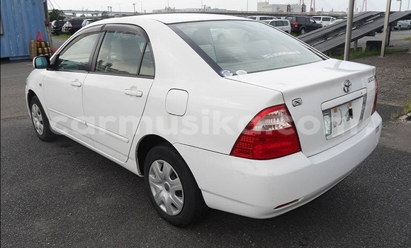 Acheter Occasion Voiture Toyota Corolla Blanc à Beitbridge, Matabeleland South Acheter Occasion Voiture Toyota Corolla Blanc à Beitbridge, Matabeleland South