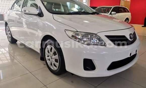 Buy Used Toyota Corolla White Car in Beitbridge in Matabeleland South Buy Used Toyota Corolla White Car in Beitbridge in Matabeleland South
