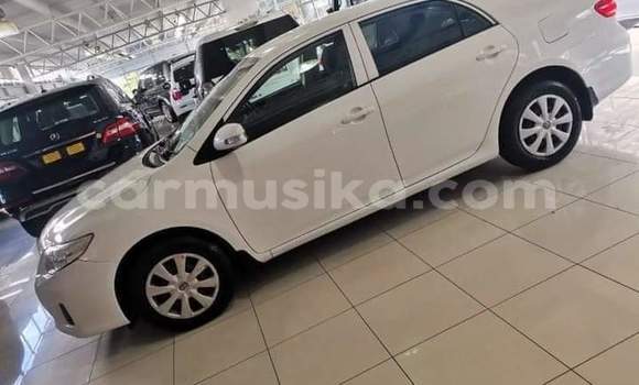 Buy Used Toyota Corolla White Car in Beitbridge in Matabeleland South Buy Used Toyota Corolla White Car in Beitbridge in Matabeleland South