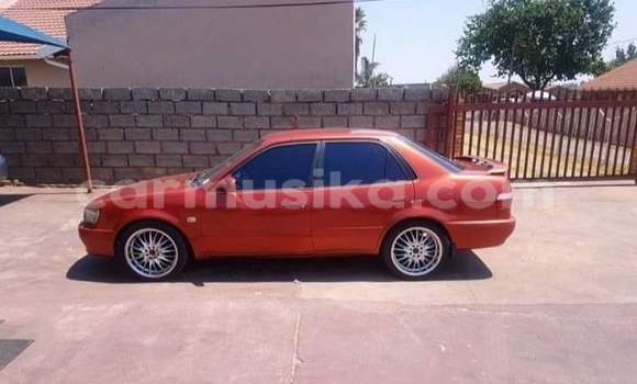 Buy Used Toyota Corolla Red Car in Beitbridge in Matabeleland South Buy Used Toyota Corolla Red Car in Beitbridge in Matabeleland South