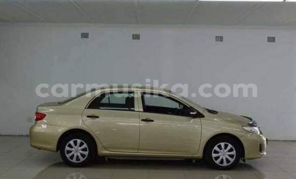 Acheter Occasion Voiture Toyota Corolla Gris à Beitbridge, Matabeleland South Acheter Occasion Voiture Toyota Corolla Gris à Beitbridge, Matabeleland South