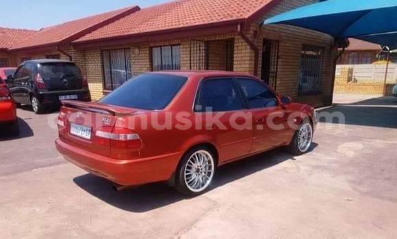 Acheter Occasion Voiture Toyota Corolla Rouge à Beitbridge, Matabeleland South Acheter Occasion Voiture Toyota Corolla Rouge à Beitbridge, Matabeleland South