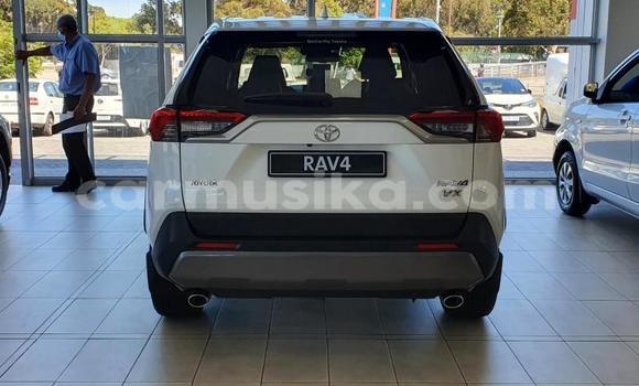 Tenga Tsaru Toyota RAV4 Chena Mota in Beitbridge in Matabeleland South