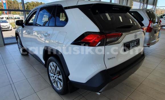 Buy Used Toyota RAV4 White Car in Beitbridge in Matabeleland South Buy Used Toyota RAV4 White Car in Beitbridge in Matabeleland South