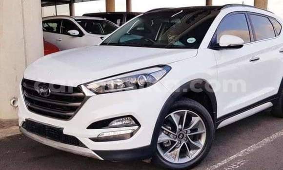 Buy Used Hyundai Tucson White Car in Beitbridge in Matabeleland South Buy Used Hyundai Tucson White Car in Beitbridge in Matabeleland South