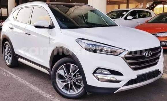 Buy Used Hyundai Tucson White Car in Beitbridge in Matabeleland South Buy Used Hyundai Tucson White Car in Beitbridge in Matabeleland South