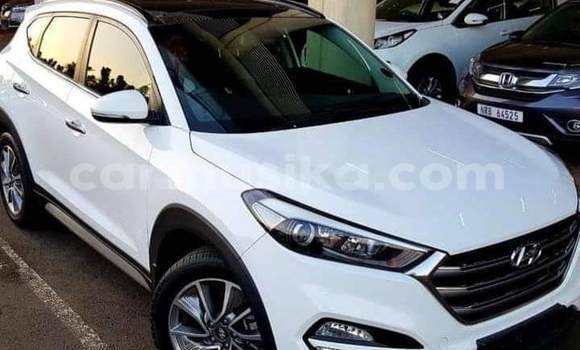 Buy Used Hyundai Tucson White Car in Beitbridge in Matabeleland South Buy Used Hyundai Tucson White Car in Beitbridge in Matabeleland South