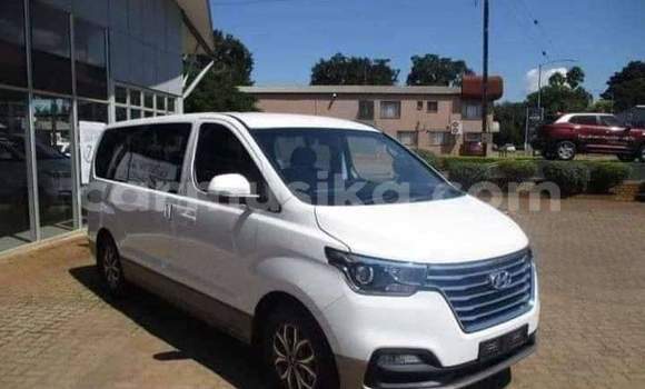 Buy Used Hyundai H1 White Car in Beitbridge in Matabeleland South