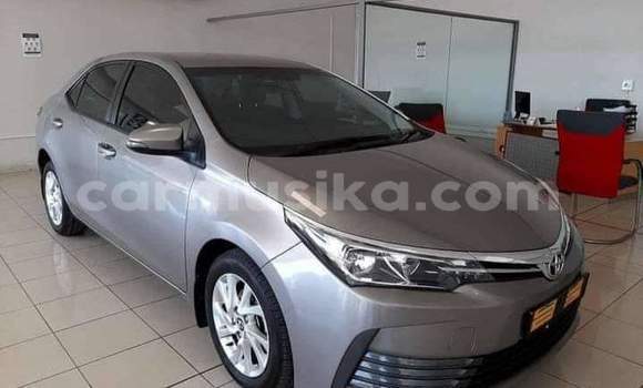 Buy Used Toyota Corolla Beige Car in Beitbridge in Matabeleland South