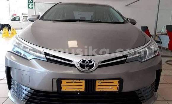 Buy Used Toyota Corolla Beige Car in Beitbridge in Matabeleland South Buy Used Toyota Corolla Beige Car in Beitbridge in Matabeleland South
