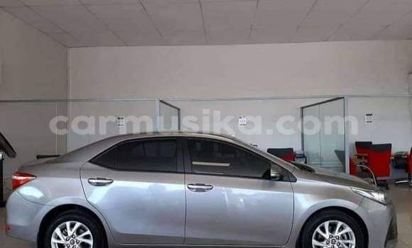 Buy Used Toyota Corolla Beige Car in Beitbridge in Matabeleland South Buy Used Toyota Corolla Beige Car in Beitbridge in Matabeleland South