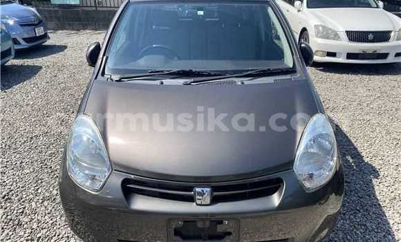Buy Used Toyota Passo Black Car in Beitbridge in Matabeleland South