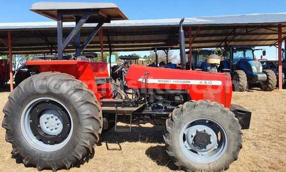 Buy Used Mega Track Red Car in Beitbridge in Matabeleland South Buy Used Mega Track Red Car in Beitbridge in Matabeleland South