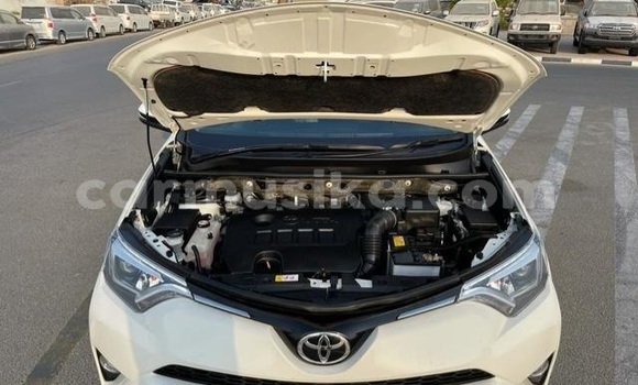 Tenga Tsaru Toyota RAV4 Chena Mota in Beitbridge in Matabeleland South Tenga Tsaru Toyota RAV4 Chena Mota in Beitbridge in Matabeleland South