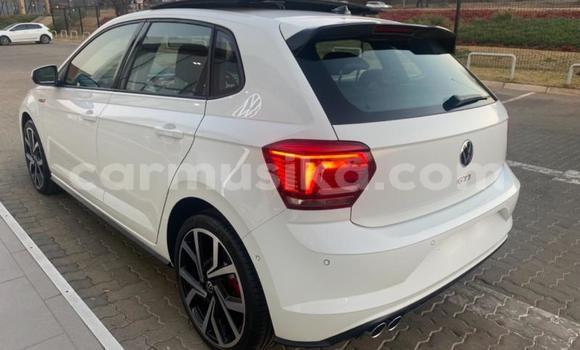 Acheter Occasion Voiture Volkswagen Polo GTI Blanc à Beitbridge, Matabeleland South Acheter Occasion Voiture Volkswagen Polo GTI Blanc à Beitbridge, Matabeleland South