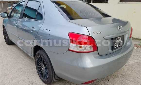 Buy Used Toyota Vios Silver Car in Beitbridge in Matabeleland South Buy Used Toyota Vios Silver Car in Beitbridge in Matabeleland South