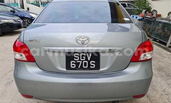 Buy Used Toyota Vios Silver Car in Beitbridge in Matabeleland South Buy Used Toyota Vios Silver Car in Beitbridge in Matabeleland South