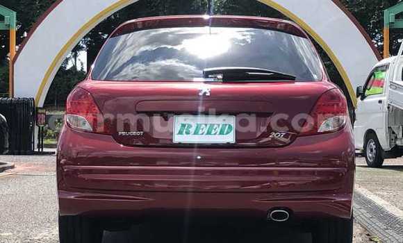 Buy Used Peugeot 207 Red Car in Beitbridge in Matabeleland South Buy Used Peugeot 207 Red Car in Beitbridge in Matabeleland South