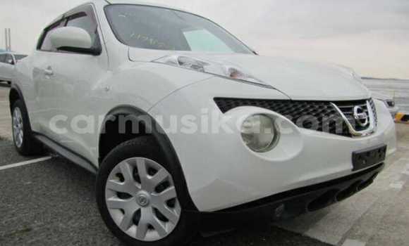 Tenga Tsaru Nissan Juke Chena Mota in Beitbridge in Matabeleland South