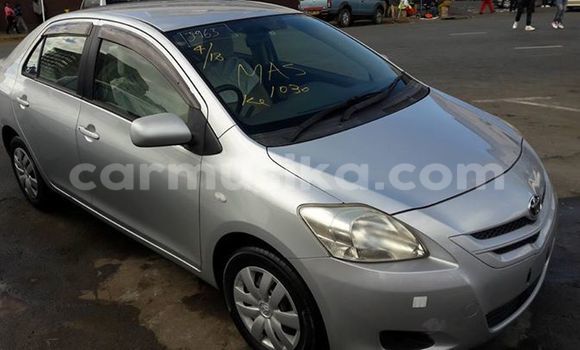Acheter Occasion Voiture Toyota Belta Gris à Alexandra Park, Harare Acheter Occasion Voiture Toyota Belta Gris à Alexandra Park, Harare