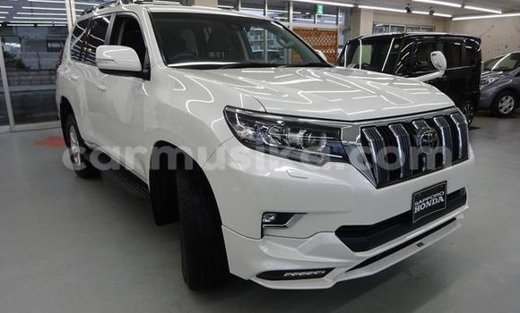 Buy Used Toyota Land Cruiser Prado White Car in Beitbridge in Matabeleland South