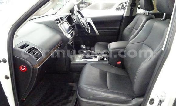 Acheter Occasion Voiture Toyota Land Cruiser Prado Blanc à Beitbridge, Matabeleland South Acheter Occasion Voiture Toyota Land Cruiser Prado Blanc à Beitbridge, Matabeleland South