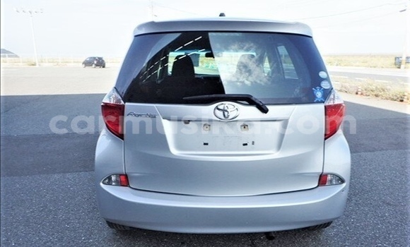 Tenga Tsaru Toyota Ractis Sirivha Mota in Beitbridge in Matabeleland South Tenga Tsaru Toyota Ractis Sirivha Mota in Beitbridge in Matabeleland South