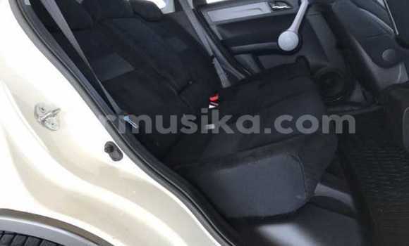 Nunua Ilio tumika Honda CR–V Nyeupe Gari ndani ya Beitbridge nchini Matabeleland Kusini Nunua Ilio tumika Honda CR–V Nyeupe Gari ndani ya Beitbridge nchini Matabeleland Kusini