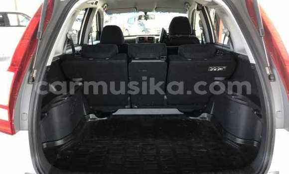 Nunua Ilio tumika Honda CR–V Nyeupe Gari ndani ya Beitbridge nchini Matabeleland Kusini Nunua Ilio tumika Honda CR–V Nyeupe Gari ndani ya Beitbridge nchini Matabeleland Kusini