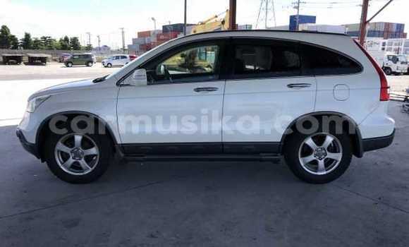 Nunua Ilio tumika Honda CR–V Nyeupe Gari ndani ya Beitbridge nchini Matabeleland Kusini Nunua Ilio tumika Honda CR–V Nyeupe Gari ndani ya Beitbridge nchini Matabeleland Kusini