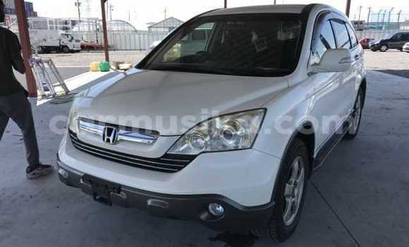 Nunua Ilio tumika Honda CR–V Nyeupe Gari ndani ya Beitbridge nchini Matabeleland Kusini Nunua Ilio tumika Honda CR–V Nyeupe Gari ndani ya Beitbridge nchini Matabeleland Kusini