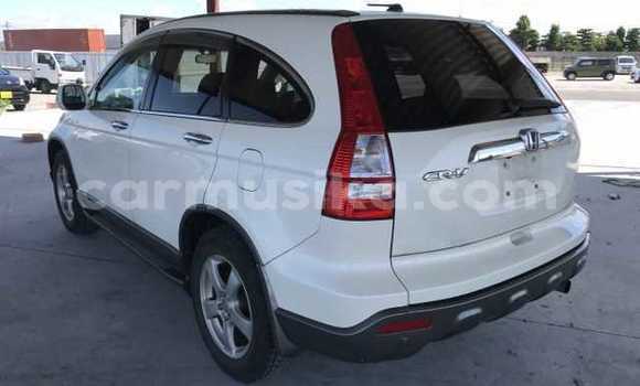 Nunua Ilio tumika Honda CR–V Nyeupe Gari ndani ya Beitbridge nchini Matabeleland Kusini Nunua Ilio tumika Honda CR–V Nyeupe Gari ndani ya Beitbridge nchini Matabeleland Kusini