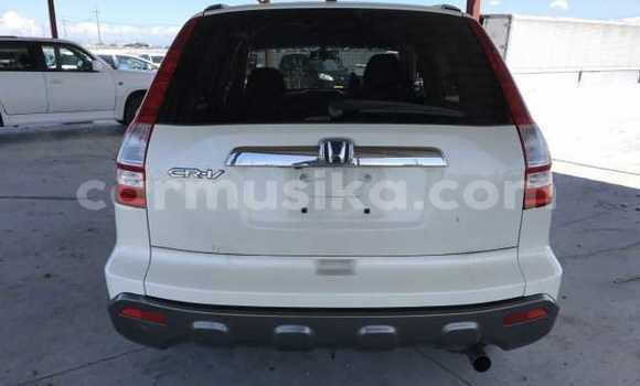 Nunua Ilio tumika Honda CR–V Nyeupe Gari ndani ya Beitbridge nchini Matabeleland Kusini Nunua Ilio tumika Honda CR–V Nyeupe Gari ndani ya Beitbridge nchini Matabeleland Kusini