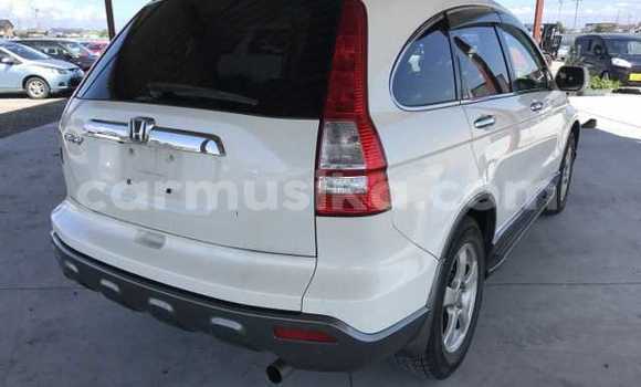 Nunua Ilio tumika Honda CR–V Nyeupe Gari ndani ya Beitbridge nchini Matabeleland Kusini Nunua Ilio tumika Honda CR–V Nyeupe Gari ndani ya Beitbridge nchini Matabeleland Kusini