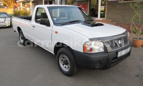 Tenga Tsaru Nissan NP 300 Chena Mota in Beitbridge in Matabeleland South Tenga Tsaru Nissan NP 300 Chena Mota in Beitbridge in Matabeleland South