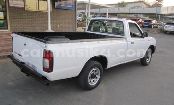 Tenga Tsaru Nissan NP 300 Chena Mota in Beitbridge in Matabeleland South Tenga Tsaru Nissan NP 300 Chena Mota in Beitbridge in Matabeleland South