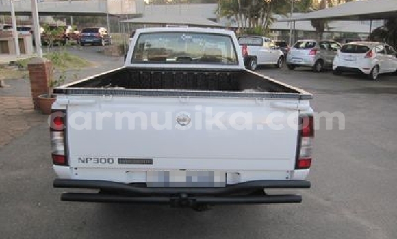 Tenga Tsaru Nissan NP 300 Chena Mota in Beitbridge in Matabeleland South Tenga Tsaru Nissan NP 300 Chena Mota in Beitbridge in Matabeleland South
