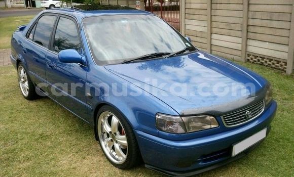 Tenga Tsaru Toyota Corolla Bhuruu Mota in Beitbridge in Matabeleland South Tenga Tsaru Toyota Corolla Bhuruu Mota in Beitbridge in Matabeleland South