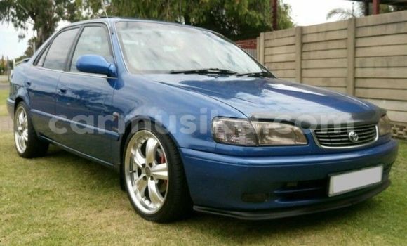 Tenga Tsaru Toyota Corolla Bhuruu Mota in Beitbridge in Matabeleland South Tenga Tsaru Toyota Corolla Bhuruu Mota in Beitbridge in Matabeleland South