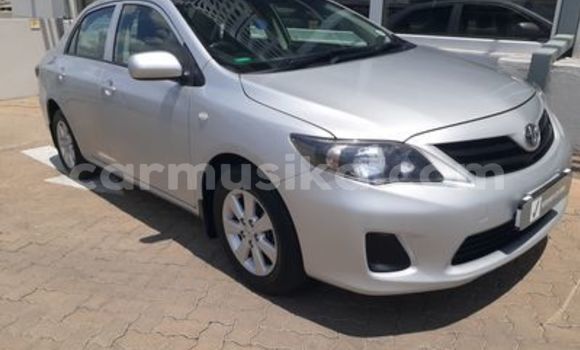 Buy Used Toyota Corolla Silver Car in Beitbridge in Matabeleland South