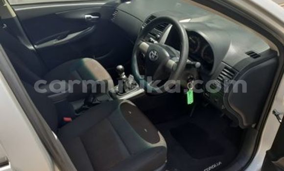 Buy Used Toyota Corolla Silver Car in Beitbridge in Matabeleland South Buy Used Toyota Corolla Silver Car in Beitbridge in Matabeleland South