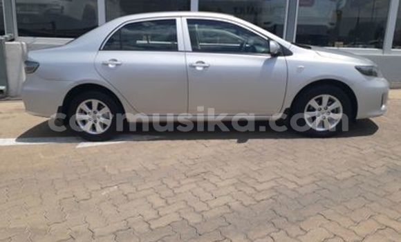 Buy Used Toyota Corolla Silver Car in Beitbridge in Matabeleland South Buy Used Toyota Corolla Silver Car in Beitbridge in Matabeleland South